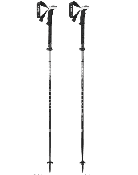 LEKI Micro Flash Pole Pair
